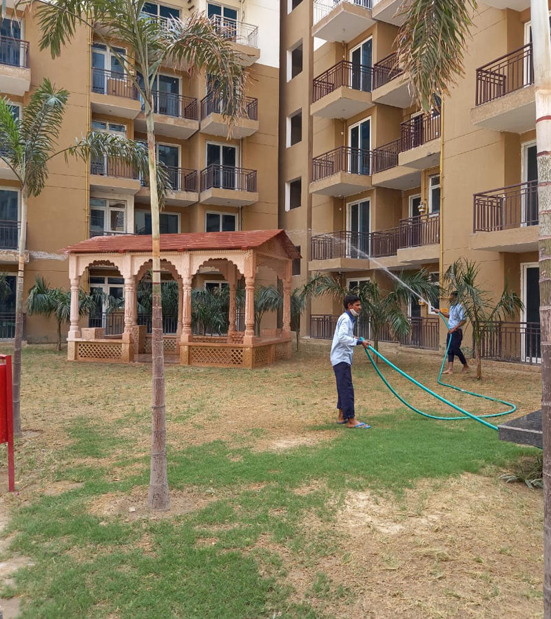 Landscaping & Gardening