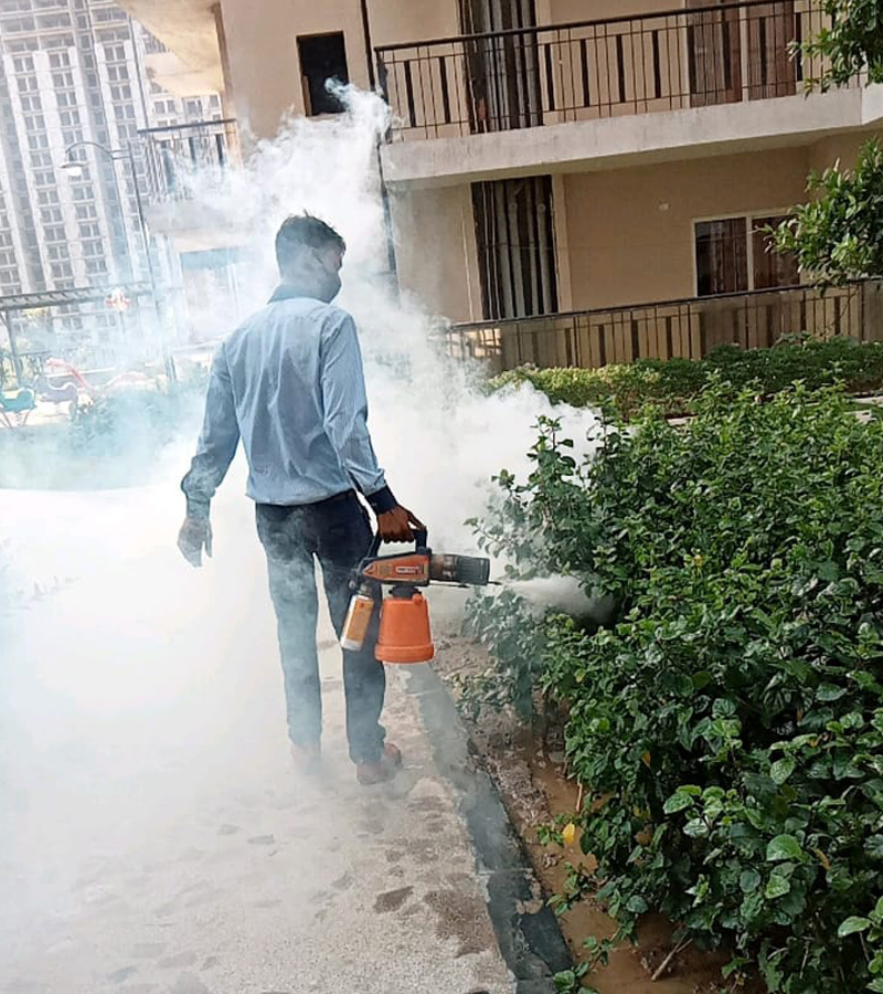 Pest Control Services