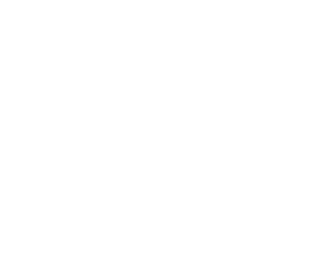 Commercial Sector