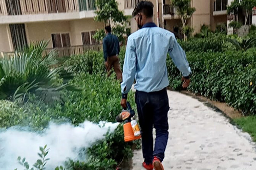 Pest Control Services