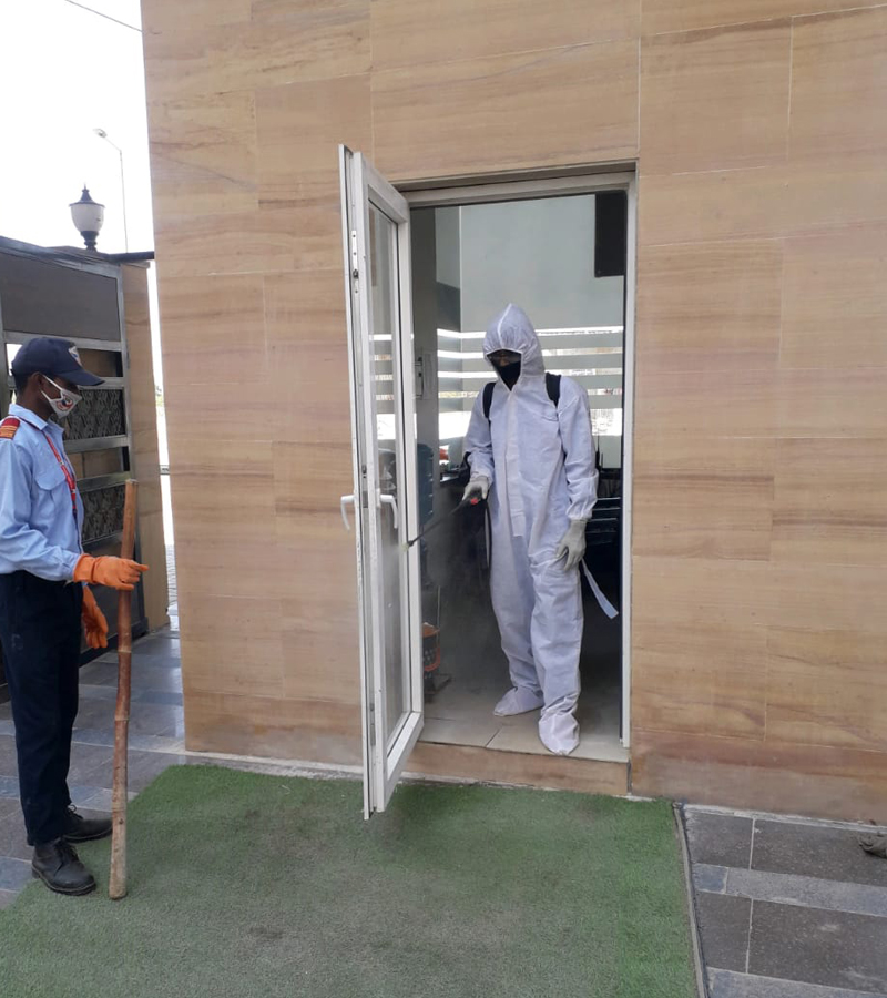 Pest Control Services