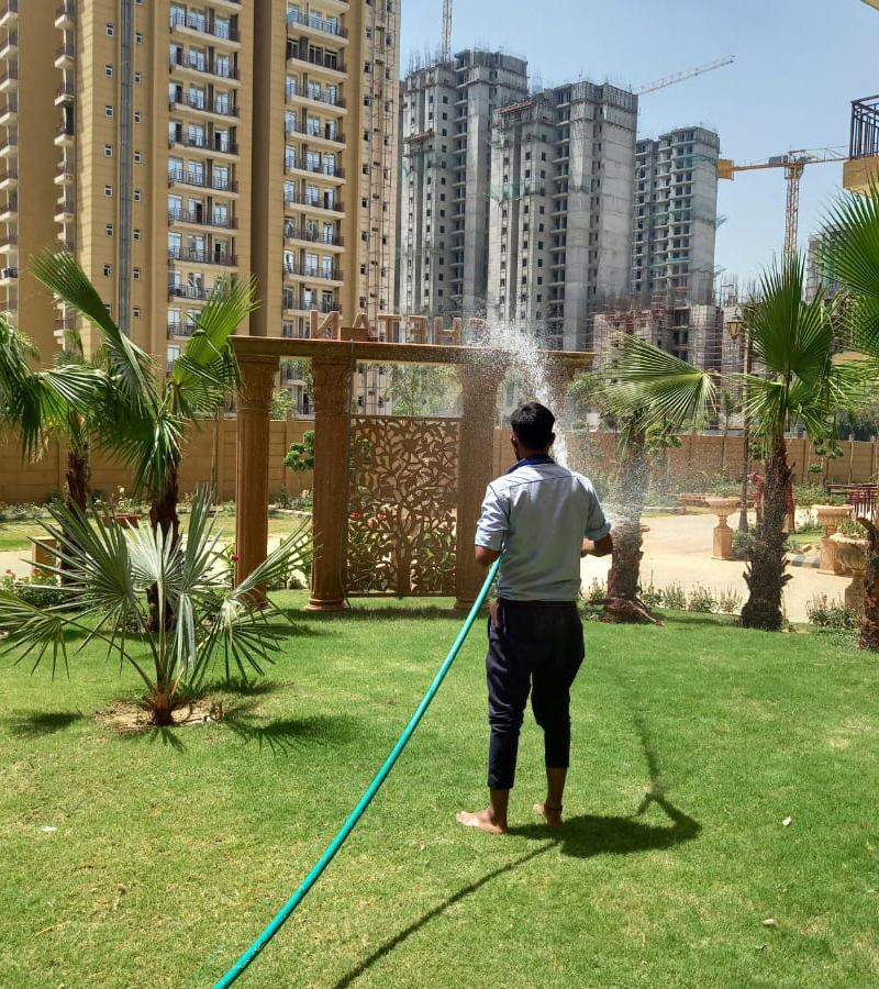Landscaping & Gardening